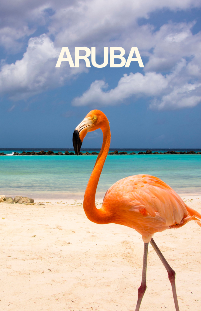 Stunning Aruba vacation guide featuring white sandy beaches, crystal-clear turquoise waters, vibrant Caribbean culture, and desert landscapes - explore this guide to plan your perfect island escape!