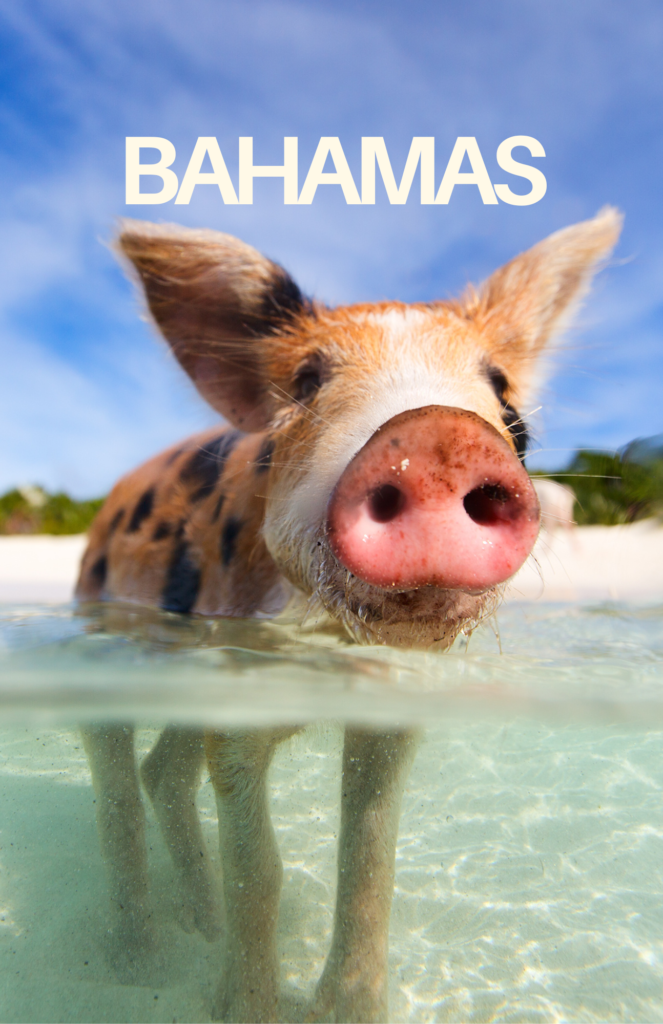 Stunning Bahamas vacation guide featuring crystal-clear waters, white sandy beaches, tropical islands, and vibrant Caribbean culture - explore this guide to plan your perfect island adventure!