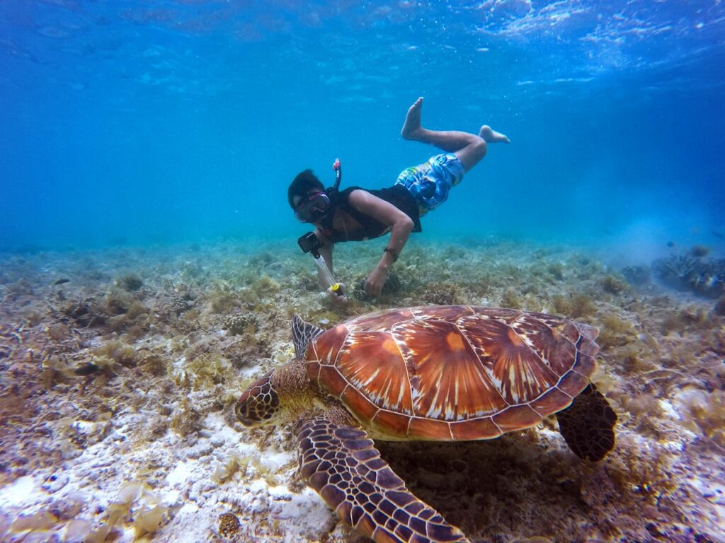 Try snorkeling in the Bahamas!